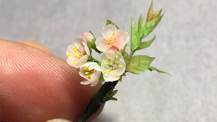 Kerajinan Tangan|Membuat Sakura Mini Menggunakan Tanah Liat