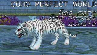 СОЛО ПВ # 24 / Соло Perfect World # 24