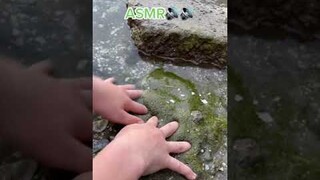 Slime Nature ASMR 🌈📢