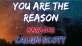 YOU ARE THE REASON - CALUM SCOTT (KARAOKE / INSTRUMENTAL VERSION)
