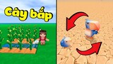 Cây bắp & chim dodo trong Mini World Mới