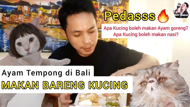 MAKAN BARENG KUCING - AYAM TEMPONG SAMBAL IJO SUPER PEDAS DI BALI - Makanan Murah di Bali