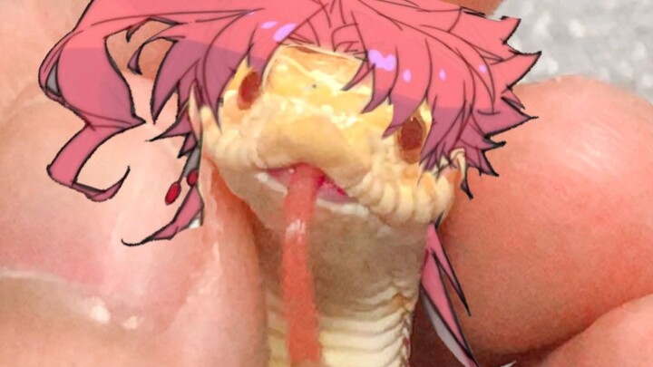 When a snake imitates Kakyoin Noriaki, it's so shameless!