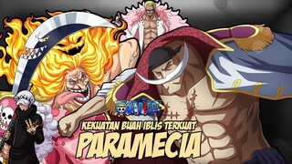 10 BUAH IBLIS PARAMECIA TERKUAT DI ONE PIECE 🔥