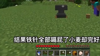 Minecraft: MC mới làm quen với kiến thức lạnh lùng, bạn đã thấy MC như vậy chưa? Đặt một minecart!