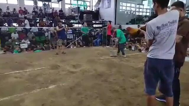 Zapote Cockpit Arena🔥🔥 Win R.BROTHERS
