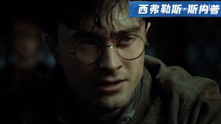 [HP｜Tears] A collection of the last lines of each character in Harry Potter! (with subtitles!!!)