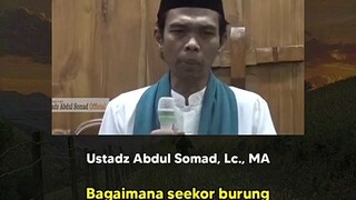 Assalamualaikum warahmatullahi wabarakatuh, Subhanallahi wabihamdihi Subhanallahil adzim