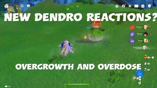 leaked dendro reactions! overgrow & overdose. 😮 what do they do? there are some clues...