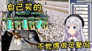 【雫るる】因为棉花很可爱 自己就买了一枝