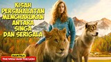 Kisah Persahabatan Mengharukan Antara Singa Dan Serigala | Alur Cerita Film THE WOLF AND THE LION