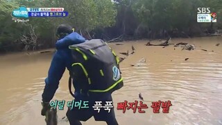 Law of the Jungle in New Caledonia [8] SUB INDO