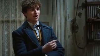 The behind-the-scenes collection of Freckles' Fantastic Beasts 2 [Including Orthopedics]