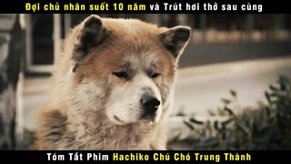 [Review Phim] Xem Nghìn Lần Vẫn Không Thể Cầm Được Nước Mắt | Hachiko