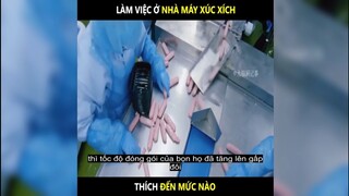 Quy trình sản xuất xúc xích thích đến mức nào