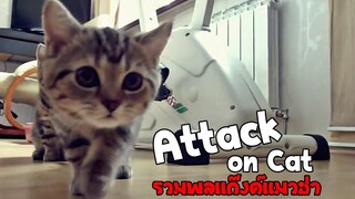 รวมพลแก๊งค์แมวฮ่า Attack on Cat ! 1 พากย์นรก