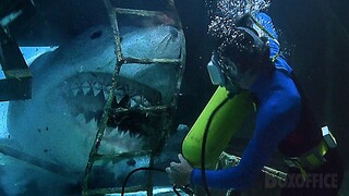 Stuck in a wreck with a shark | Jaws: The Revenge | CLIP