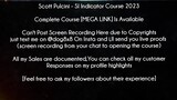 Scott Pulcini Course SI Indicator Course 2023 download