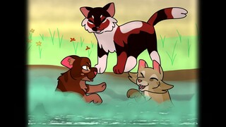 Mapleshade 's kits Lost footage(TW:BLOOD,DEAD ANIMAL)