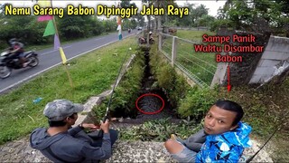 Gak Ada Yang Nyadar Kalau Disini Sarang Babon || Mancing Di Selokan Pinggir Jalan Raya