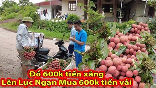 Đi Lục Ngạn Bắc Giang Buôn Vải|| 2Q VLogs Cuộc Sống Châu Phi