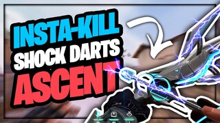 OP DOUBLE SHOCK DART SPOTS on ASCENT