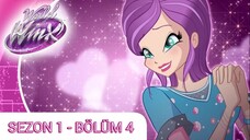 Winx Dünyası - Sezon 1 Bölüm 4 - Şehrin Altındaki Canavar