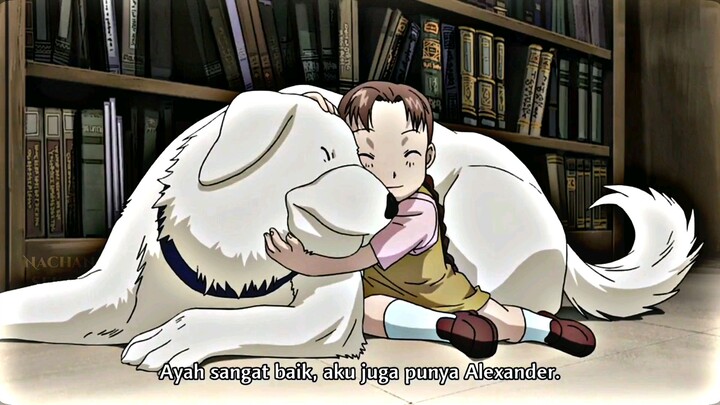 Kasian dia di jadiin korban demi penelitian😔 ~ Anime: Fullmetal Alchemist: Brotherhood