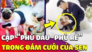 Cưng xỉu cặp 'PHÙ DÂU - PHÙ RỂ' cực xinh đẹp xuất hiện TRONG ĐÁM CƯỚI làm đốn tim dân mạng 😍 Gâu Đần