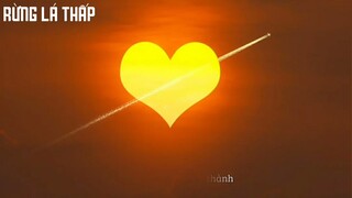 Rừng Lá Thấp (ST: Trần Thiện Thanh) - Ngân #Kara#Cover