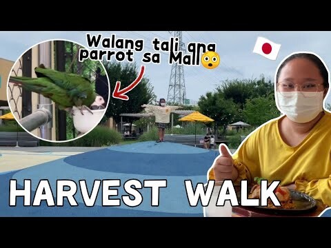 OYAMA HARVEST WALK 🇯🇵 | YUNG PARROT NAKAWALA LANG SA MALL 😲