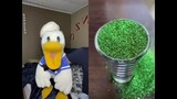 Donald Duck tiktok compilation