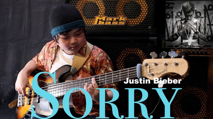 Justin Bieber - Sorry [Bass Cover]