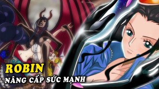 Nico Robin bắt đầu được Oda nâng cấp Sức Mạnh , Ác quỷ Robin khổng lồ có phủ Haki Vũ Trang không ?