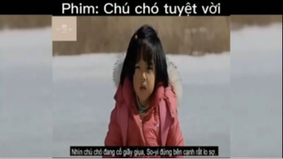 Tóm tắt phim: Chú chó tuyệt vời #reviewphimhay