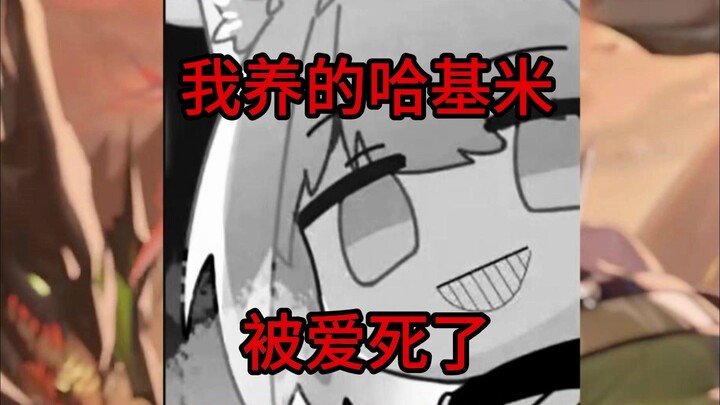 “我养的哈基米被前妻爱死了”