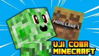 UJI COBA MINECRAFT ??!