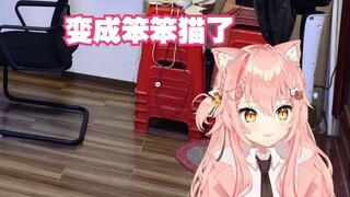 【Hiiro】猫猫被广东省省凳迷惑，不会数数了