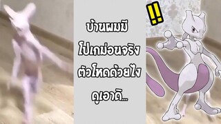 โปเกม่อน สัตว์เลี้ยงคนรวย นี่มันตัวอะไรกัน!! รวมคลิปฮาพากย์