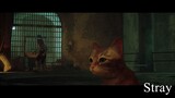 Stray - Kitty in Al Cat Raz