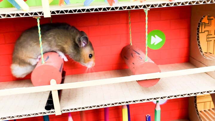 [Hamster imut] Tantangan hamster semakin sulit [Hamster Escape]
