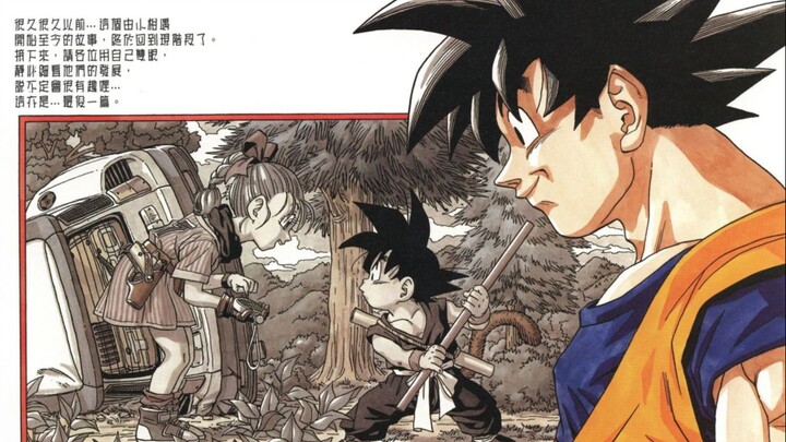 [Dragon Ball/Memoir] There used to be such a legend
