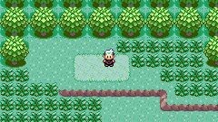 my first pokemon emerald play through