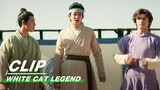 Alibaba Competes in Martial Arts | White Cat Legend EP19 | 大理寺少卿游 | iQIYI