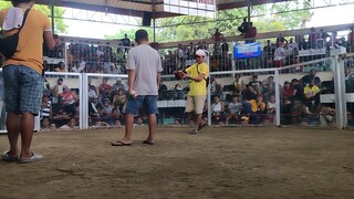 7 yrs vs 2 yrs win tayo lods