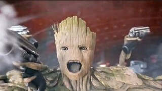 Tôi nghĩ Groot mở một xưởng sản xuất đồ nội thất bằng gỗ nguyên khối sẽ tốt hơn là giao du với băng 