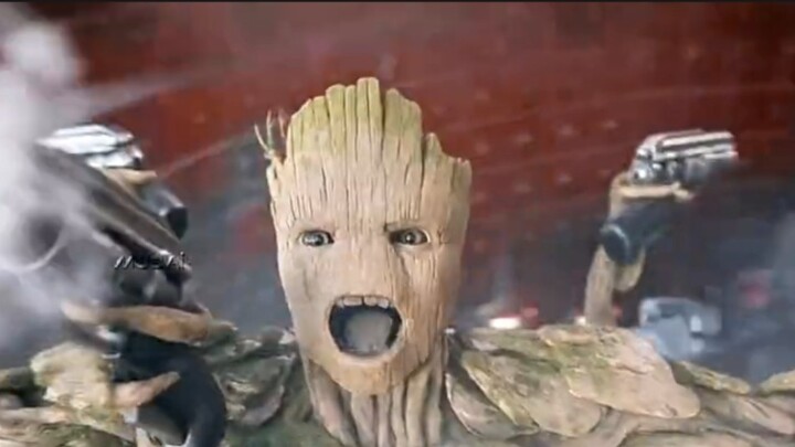 I think it would be better for Groot to open a solid wood furniture factory than to hang out with th