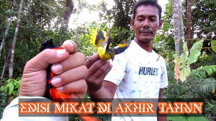 Edesi akhir tahun jelajahi hutan pedalaman sumatra