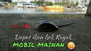 Ikan kok kayak Mobil Mainan || Pancing Jaring - Blands Hidayat