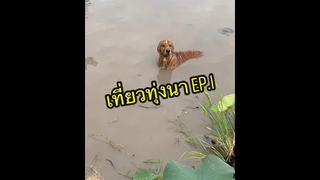 มันส์มาก😂😂😂